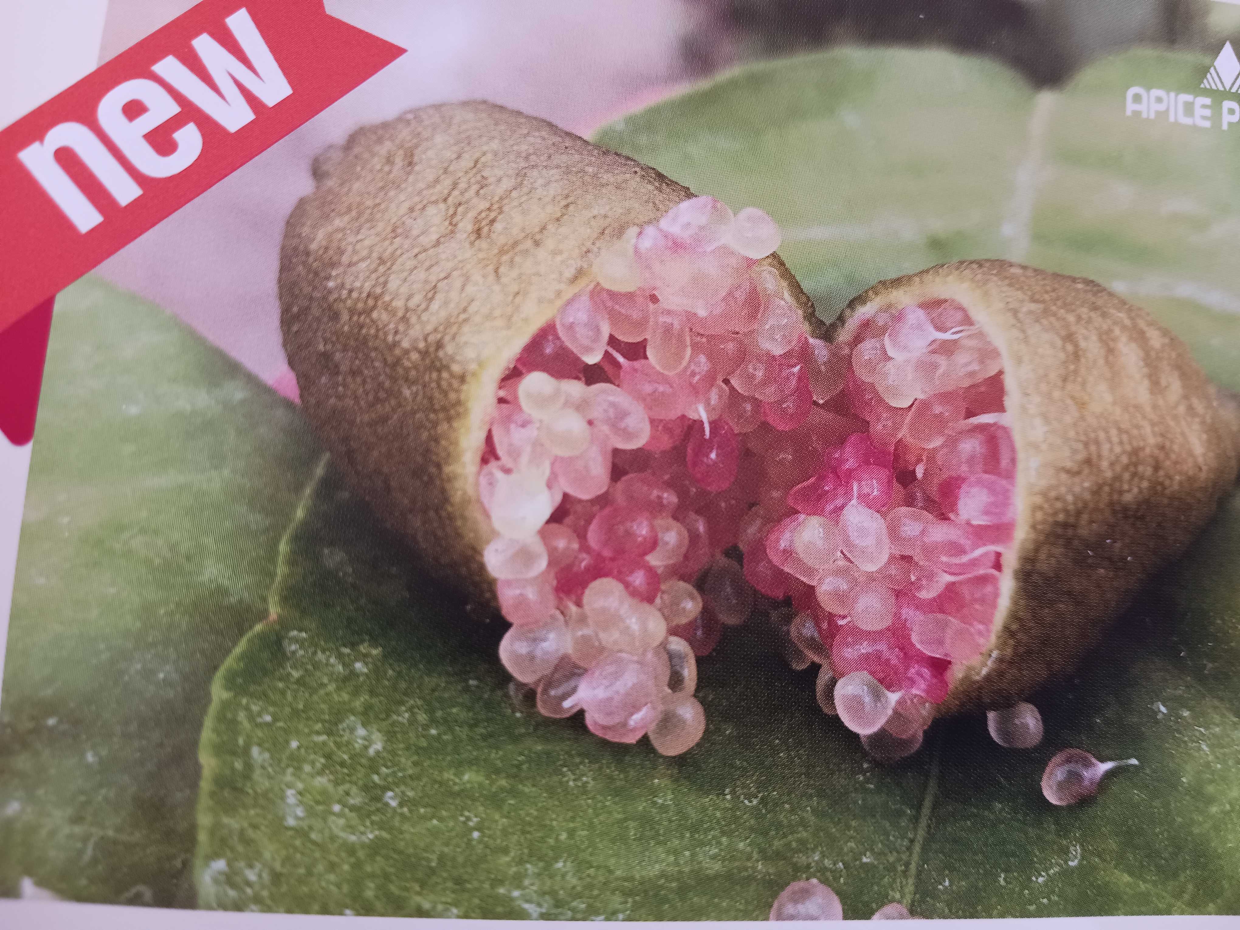 Lamai caviar - citrus